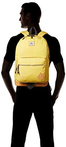 Steve madden best sale mens backpack