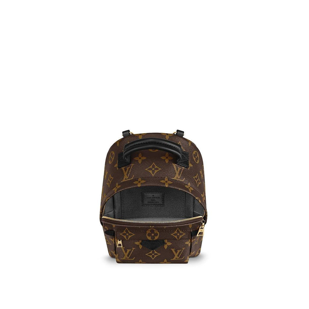 Most Covetted: The Louis Vuitton Palm Springs Mini Backpack