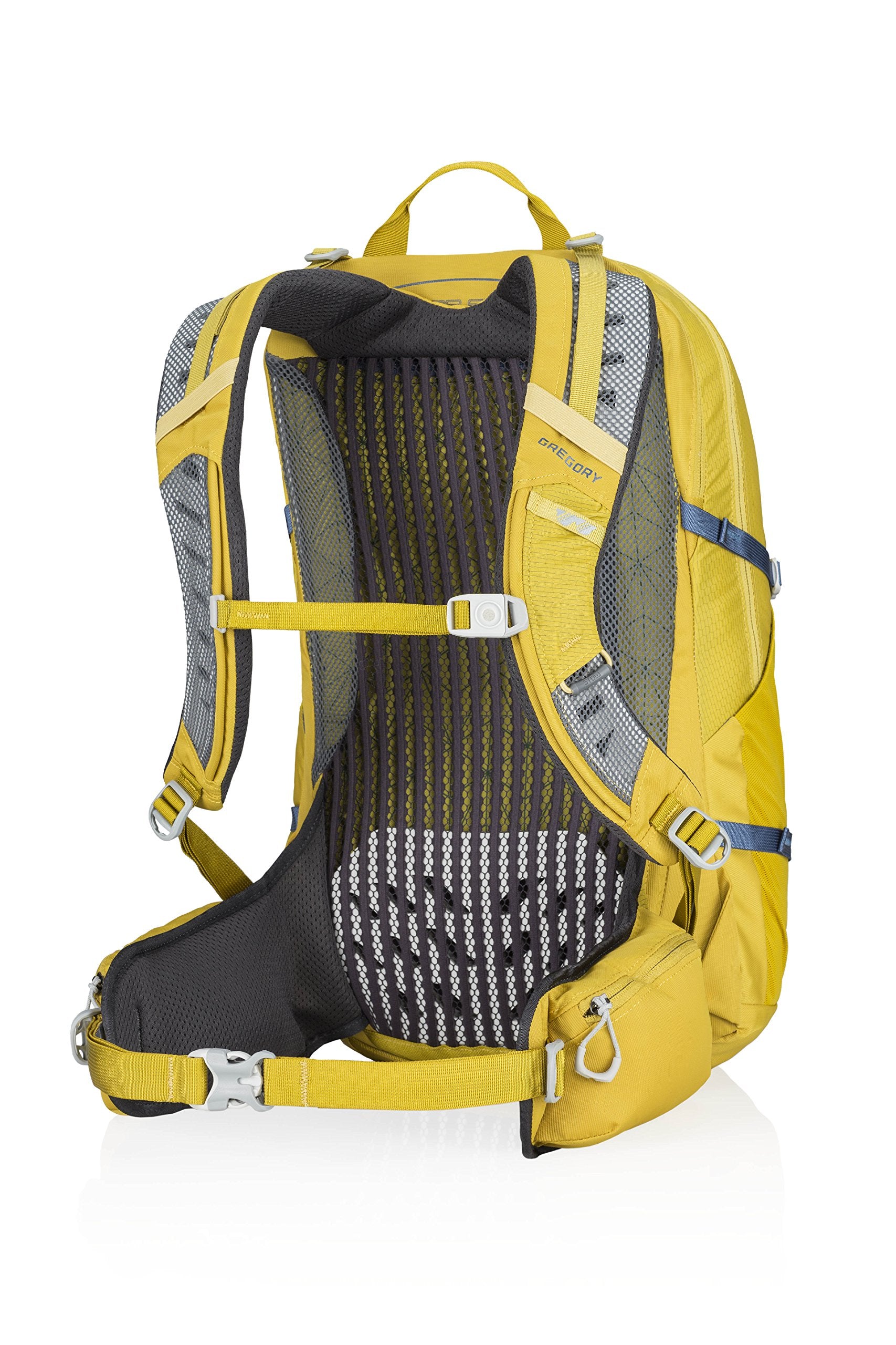 Gregory Mountain Products Citro 25 Liter 3D-Hydro Men's Daypack